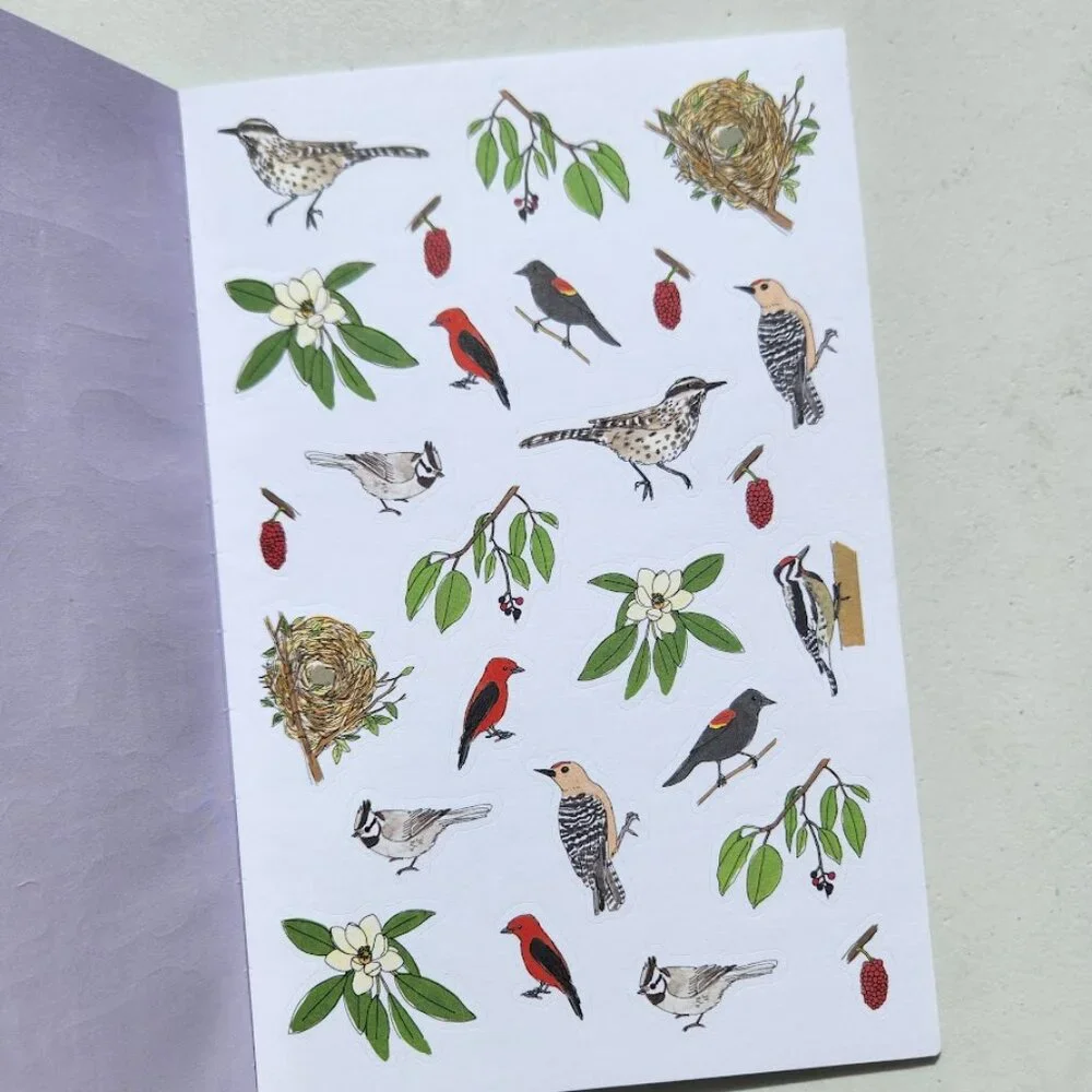 Nature Anatomy Sticker Book Julia Rothman 750 Stickers Birds Feathers Flowers